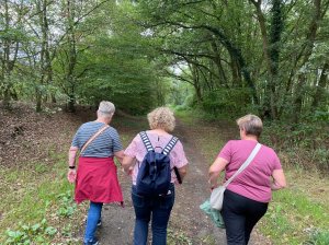 5. Wandertag SCB - 5